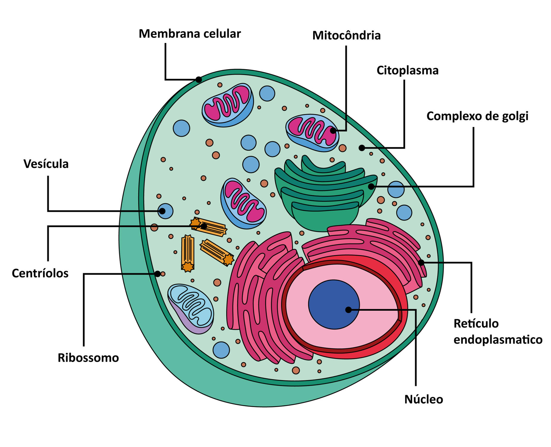 Modèle de cellule pour un livre scientifique