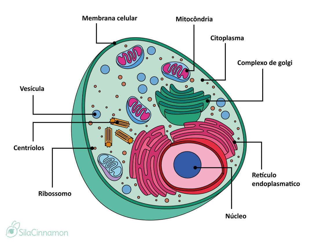 Illustration for scientific publication