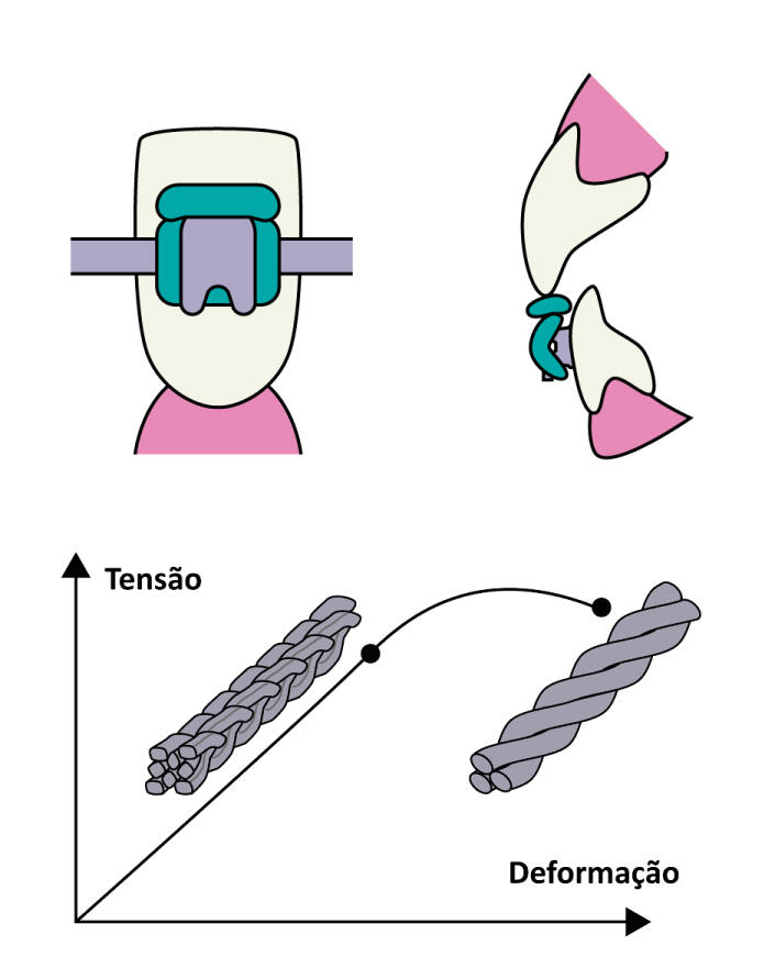 Illustration pour une publication médicale