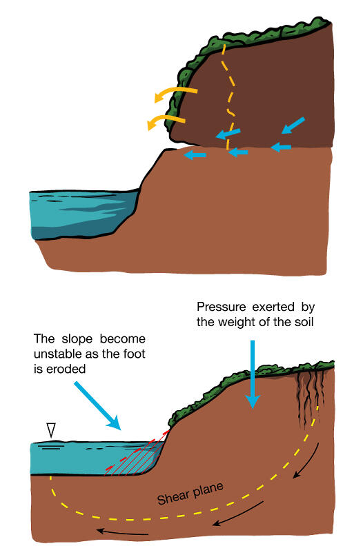Illustration for scientific publication